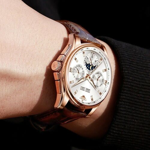 OUPINKE luxury watch For Man Top Brand Mechanical Wrist Watch Sapphire Glass