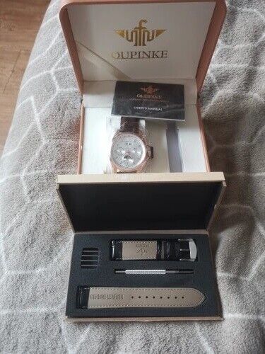 OUPINKE luxury watch For Man Top Brand Mechanical Wrist Watch Sapphire Glass